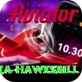 antigua hawksbill Pro Max v1.0.2