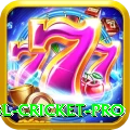 bbl cricket Games Ultimate
