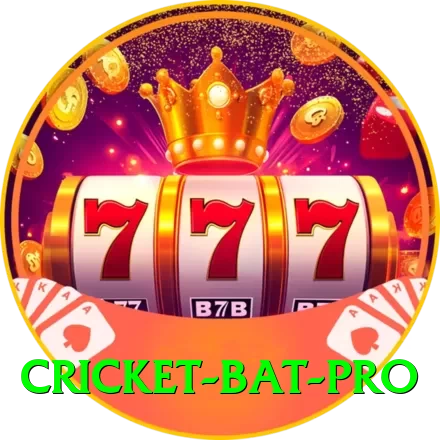 cricket bat - Live Master - 2