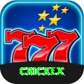 crickex Pro1 v3.5.1
