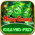 dravid Royal Slots