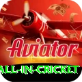 fastest ball in cricket Apps (Tools & Injectors) Turbo v1.0.8