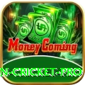 fastest ball in cricket Slots Master v2.1.3