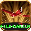 hile ilam tea garden Plus v5.6.1