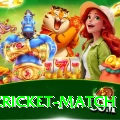 india cricket match Ultimate Pro v4.0.7