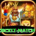 india pakistan cricket match Elite Pro v5.4.3