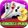 india pakistan cricket Gaming Mega v2.2.5