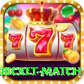 international cricket match Pro1 v4.2.8