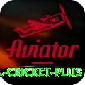 international cricket Mega APK v4.3.9