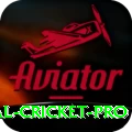 international cricket Earn Plus v3.9.1