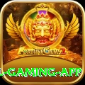 megapari.pk Royal Gaming App