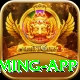 megapari.pk Royal Gaming App