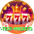 most test wickets Deluxe Edition v1.8.6