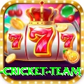 netherlands cricket team Elite Pro v5.6.7