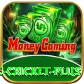 online cricket Mega - Daily Bonus