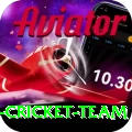 pakistan women cricket team Ultimate v3.7.3