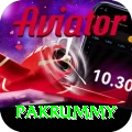 pakrummy Apps (Tools & Injectors) Pro v1.9.3