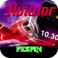 pkspin Plus Edition v3.6.6