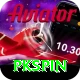 pkspin Plus Edition v3.6.6