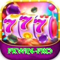 pkwin Pro Edition v2.9.3