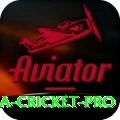sri lanka cricket - Pro Edition v2.7.2