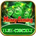 test cricket VIP v4.4.9