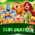 test match Games (Casino & Earning) VIP v3.2.3