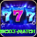 to day cricket match Premium v3.6.8