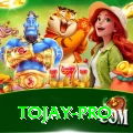 tojay - King v5.5.6