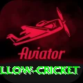 willow cricket Turbo Pro v5.3.2