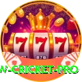 willow cricket Master - Casino & Slots